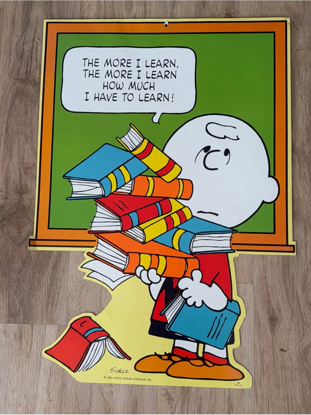 VTG HALLMARK PEANUTS 20" X 28" WALL DECORATION CHARLIE BROWN “The More I Learn”